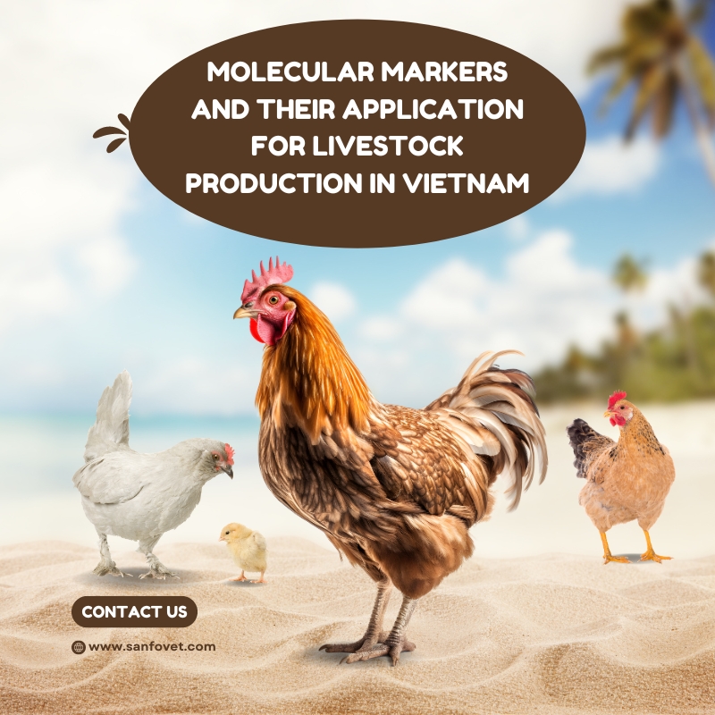 MOLECULAR MARKERS AND THEIR APPLICATION FOR LIVESTOCK PRODUCTION IN VIETNAM