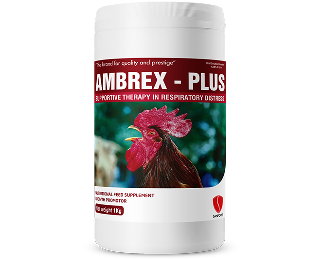 Ambrex-Plus (Pakistan)