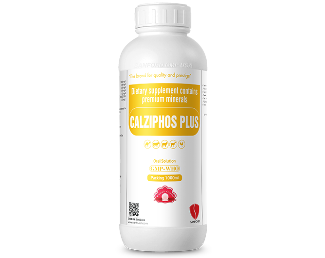 Calziphos Plus (SA)