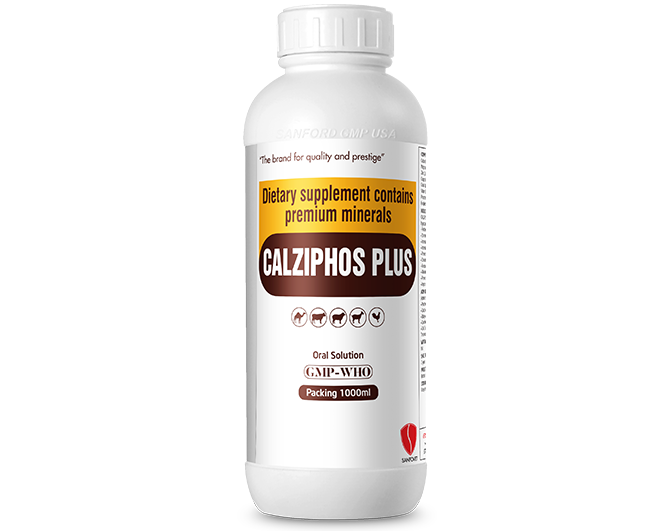 Calziphos Plus (UAE)