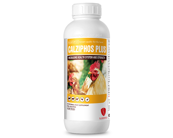 Veterinary medicine exporter - Calziphos plus (Pakistan)