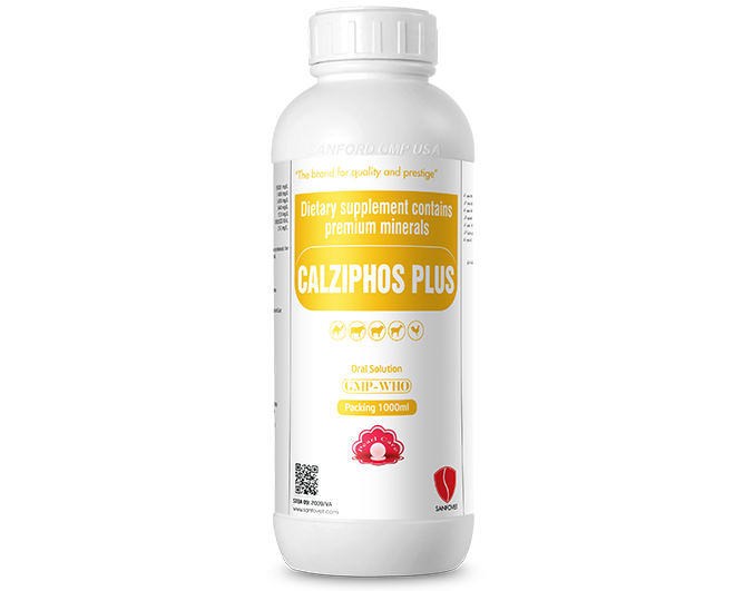 Veterinary medicine exporter - Calziphos Plus (SA)