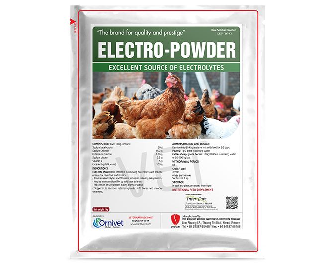 Electro-Powder (Pakistan)