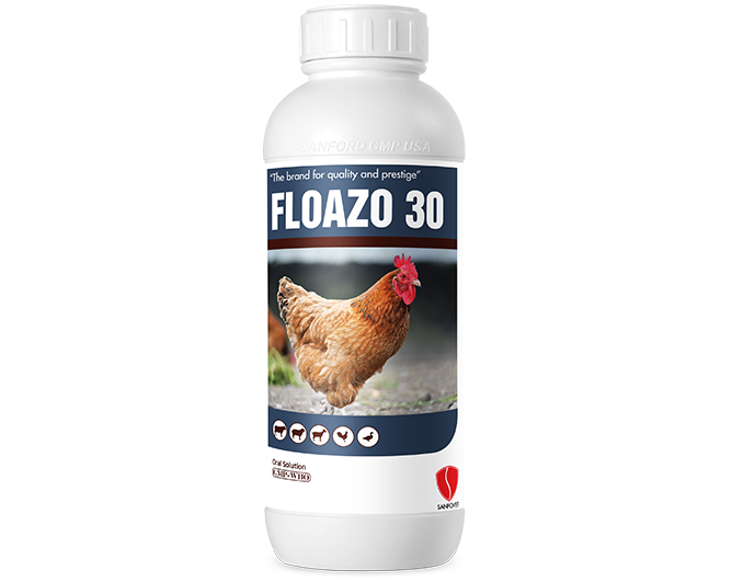 FL0AZ0 30 (customized)