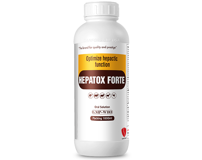Hepatox Forte (UAE)