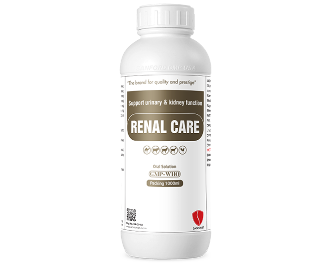 Renal Care (Iraq)