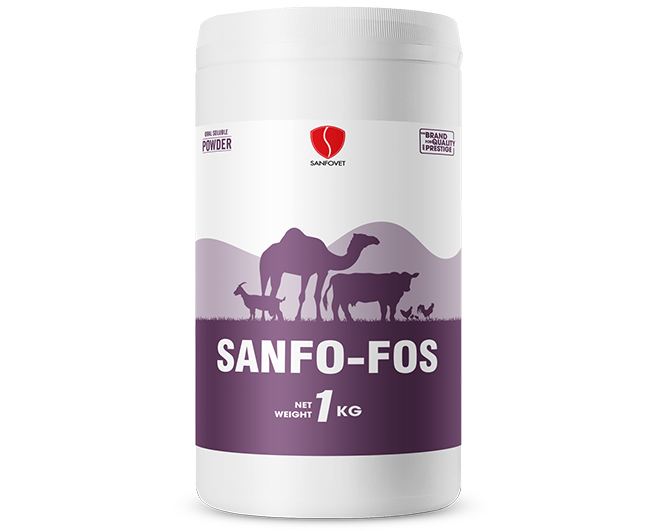 SANF0-F0S (customized)