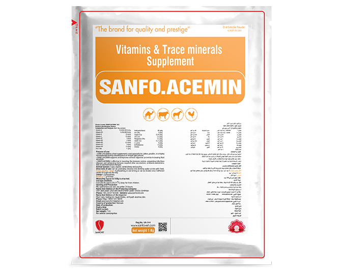 Sanfo.Acemin (SA)