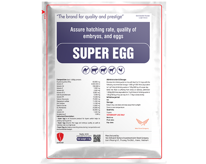 Super Egg (Iraq)