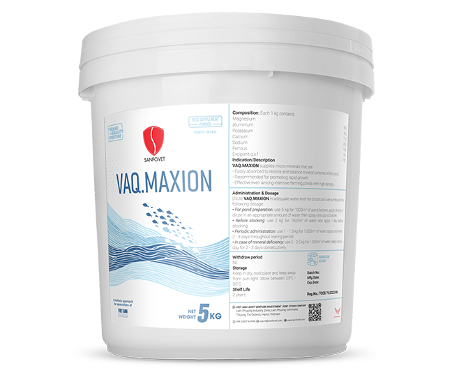 Vaq.Maxion (Iraq)