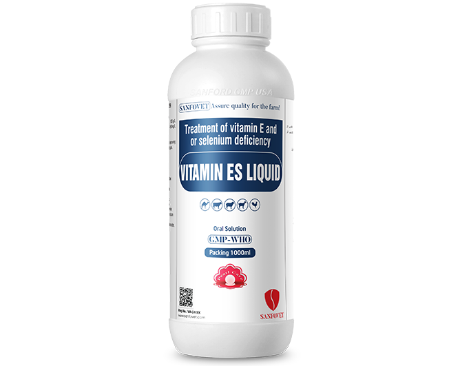 Vitamin ES Liquid (SA)