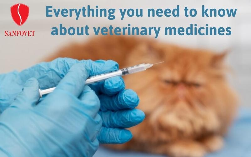 Everything you need to know about veterinary medicines