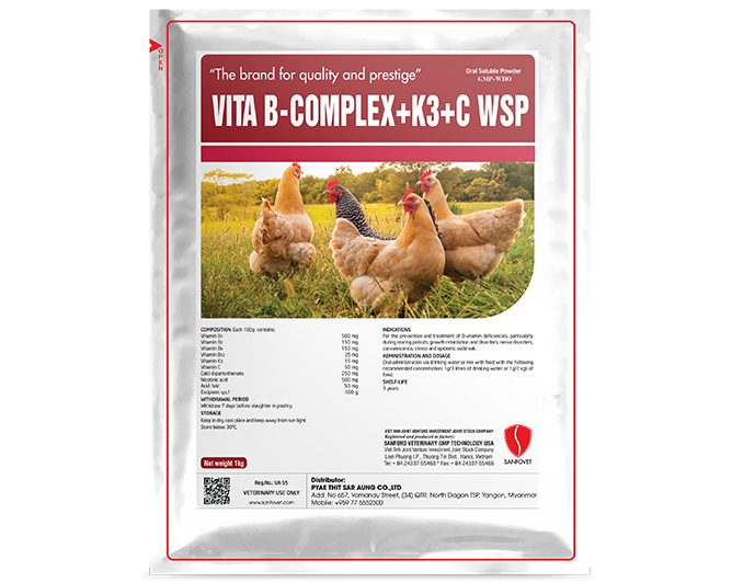 VITA B-COMPLEX+K3+C WSP