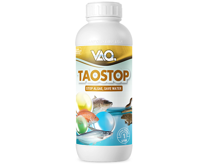 Vaq.Taostop (Iraq)