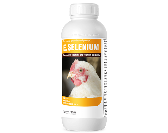 E.Selenium (Myanmar)
