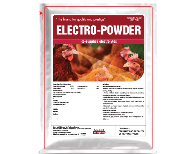 Electro_Powder (Myanmar) 1kg