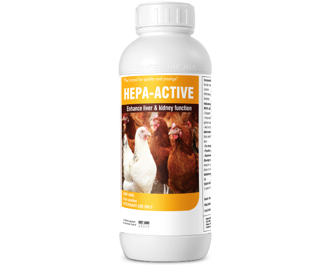 Hepa-Active (Myanmar) 1L