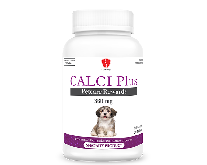 CALCI Plus