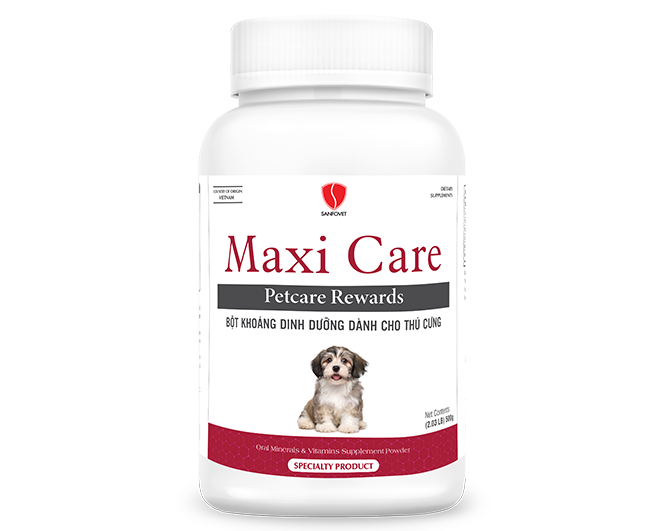 Maxi Care