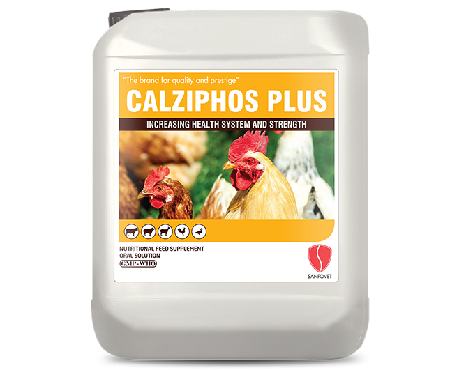 Calziphos plus (Pakistan)