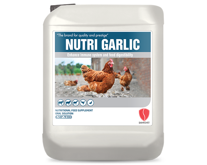 Nutri Garlic (Pakistan)
