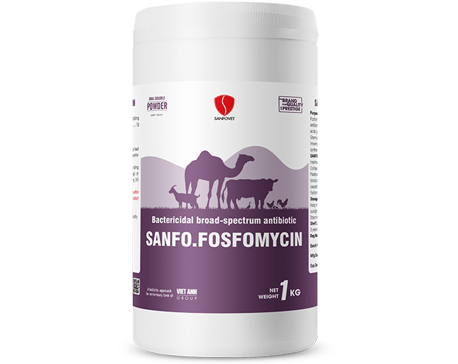 Sanfo.Fosfomycin (SA)