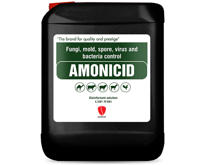 Amonicid (Iraq)