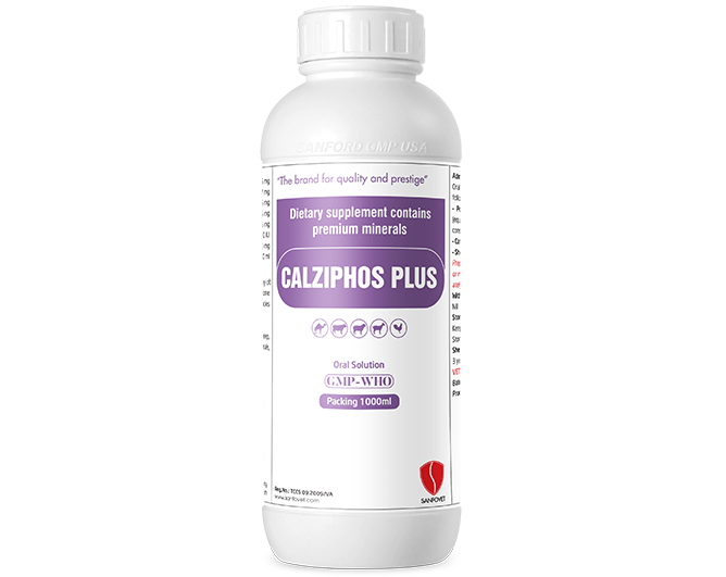 Calziphos Plus (Iraq)