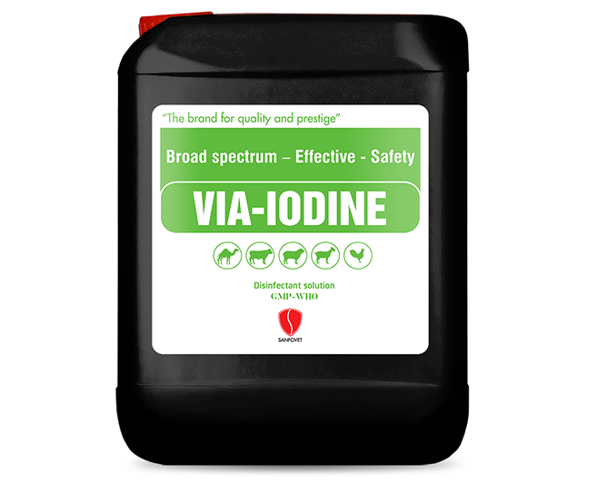 Via-Iodine (Iraq)