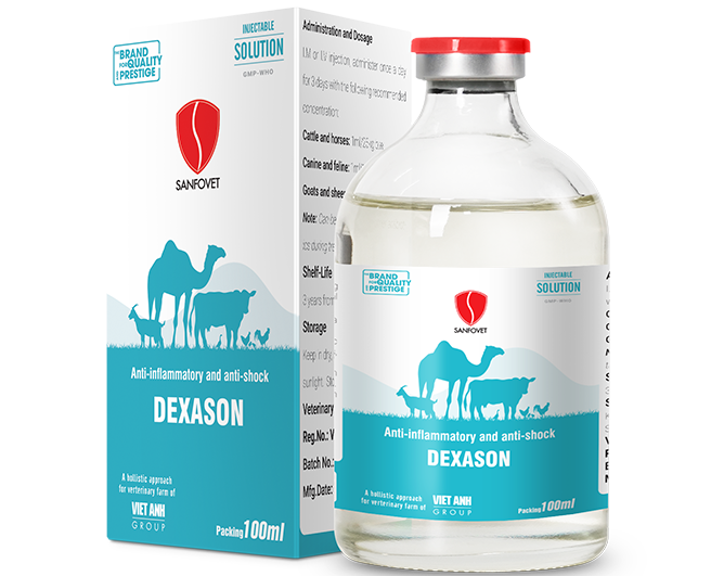 Dexason (SA)
