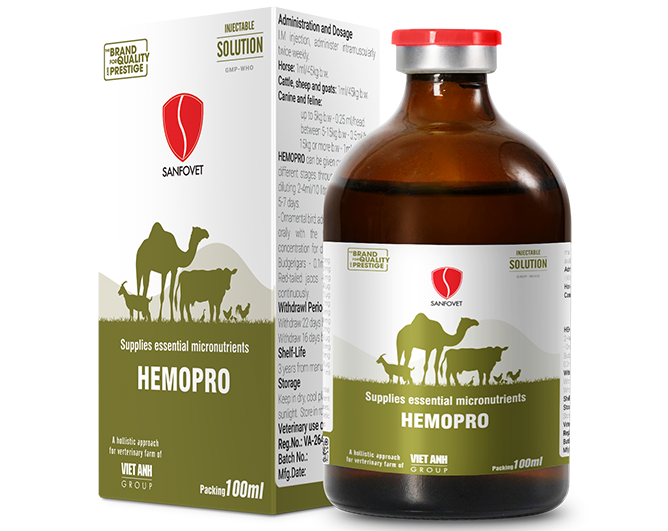 Hemopro (SA)