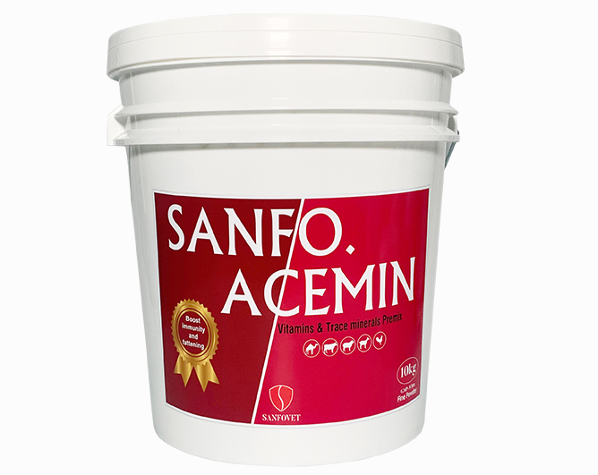 Sanfo.Acemin (UAE)