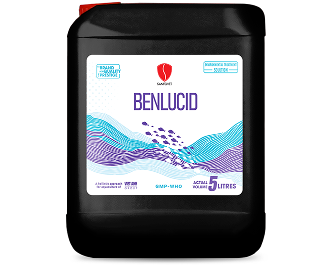 Benlucid (Iraq)