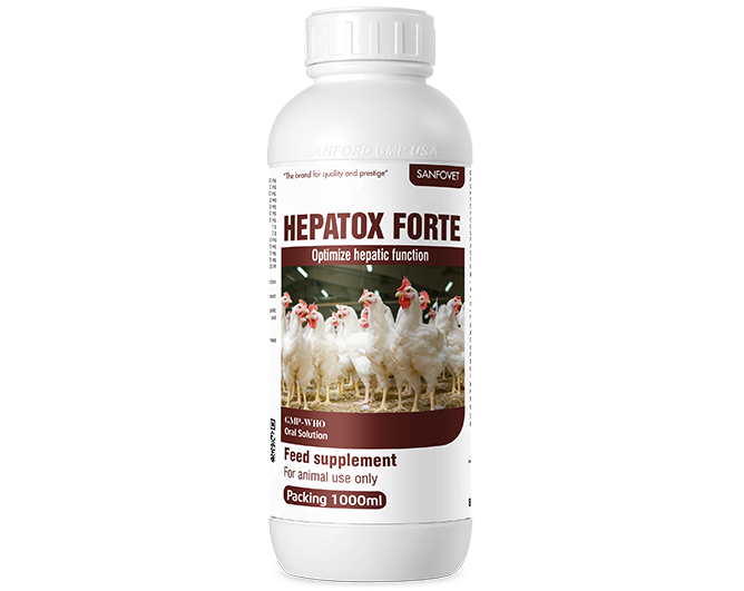 Hepatox Forte (Nepal)