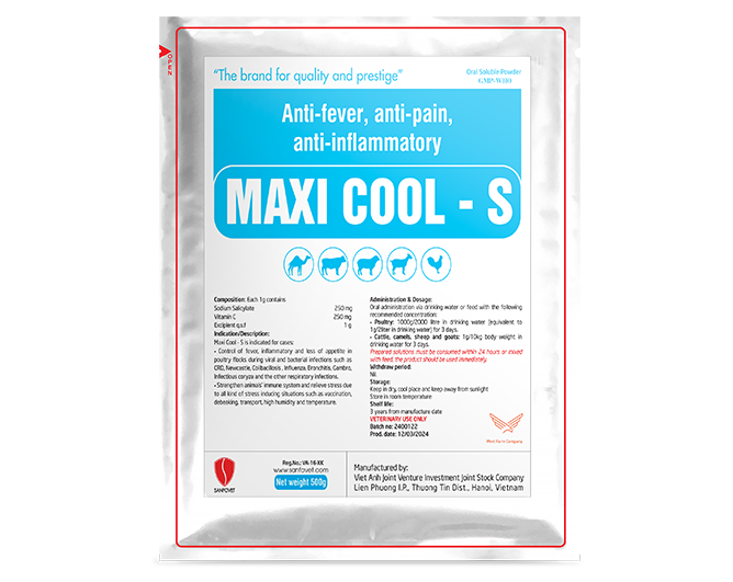 Maxi Cool - S (Iraq)