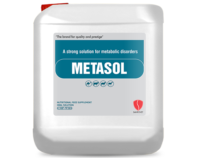 Metasol (Pakistan)
