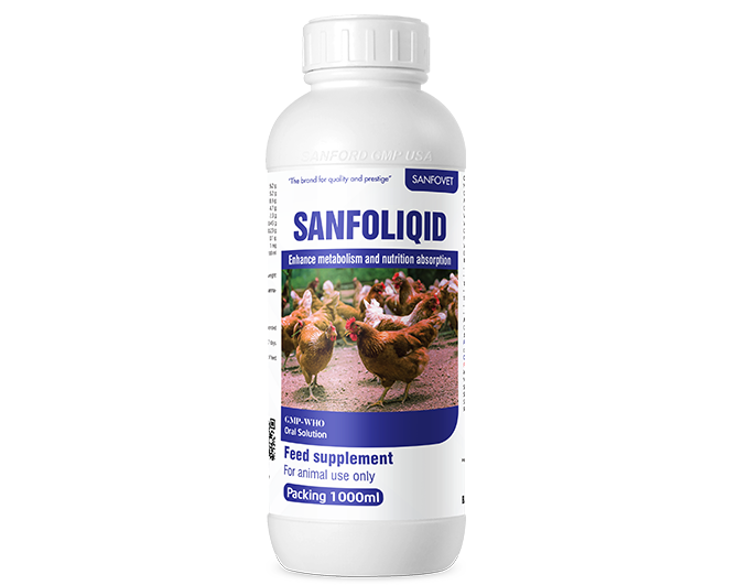 Sanfoliquid (Nepal)