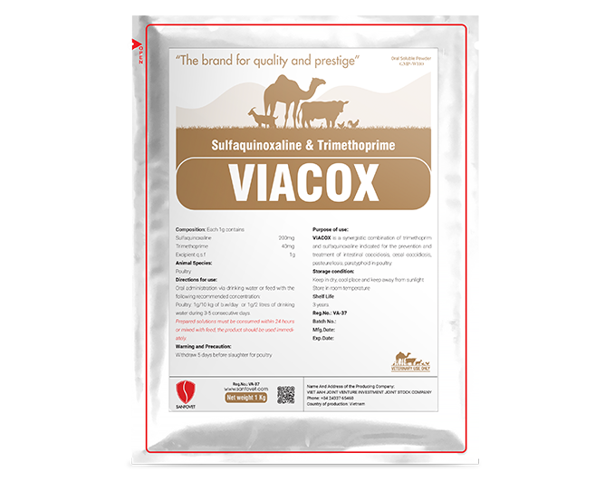 ViaCox (SA)