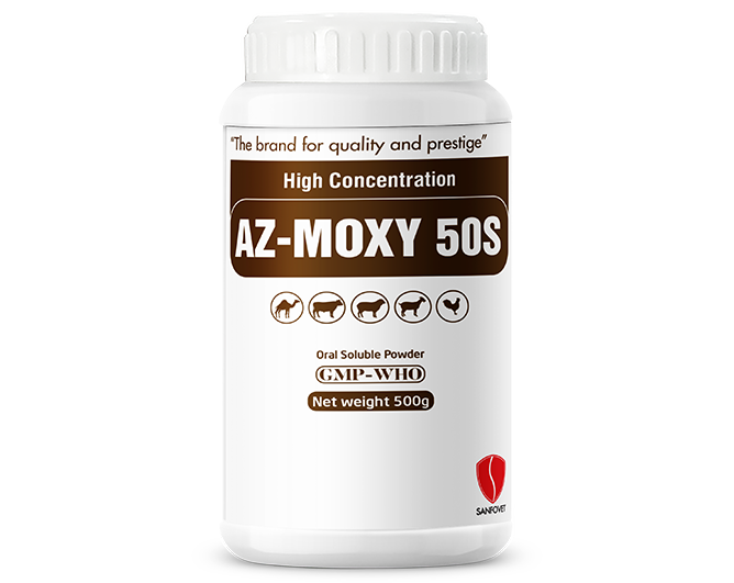 Az-Moxy 50S (Yemen)