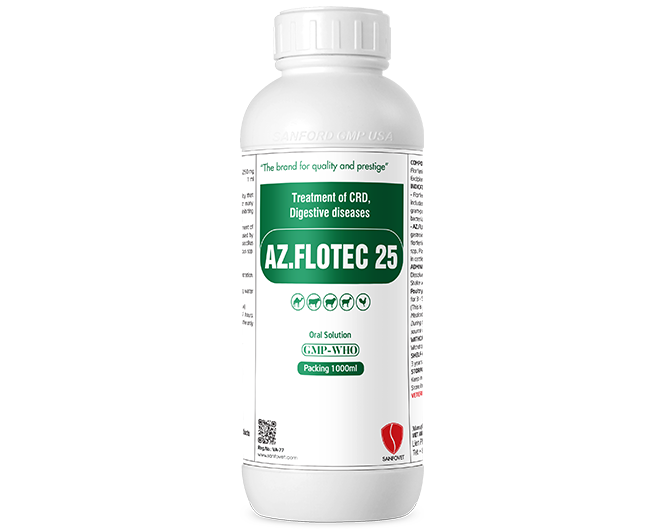 Az.Flotec 25 (Yemen)
