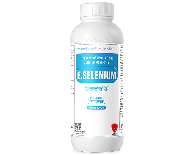 E.Selenium (Yemen)