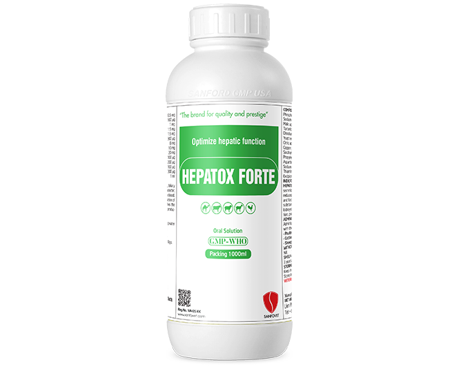 Hepatox Forte (Yemen)