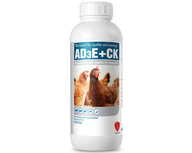 AD3E+CK